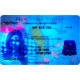 New York CDL New York CDL